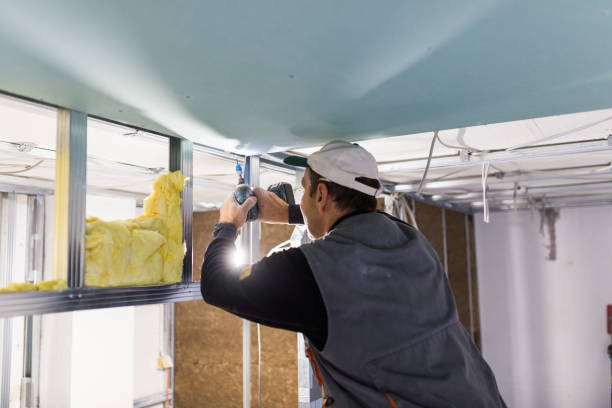 Best Cellulose Insulation in Lomita, CA