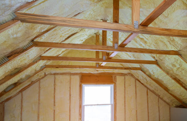Best Insulation Maintenance and Repair in Lomita, CA